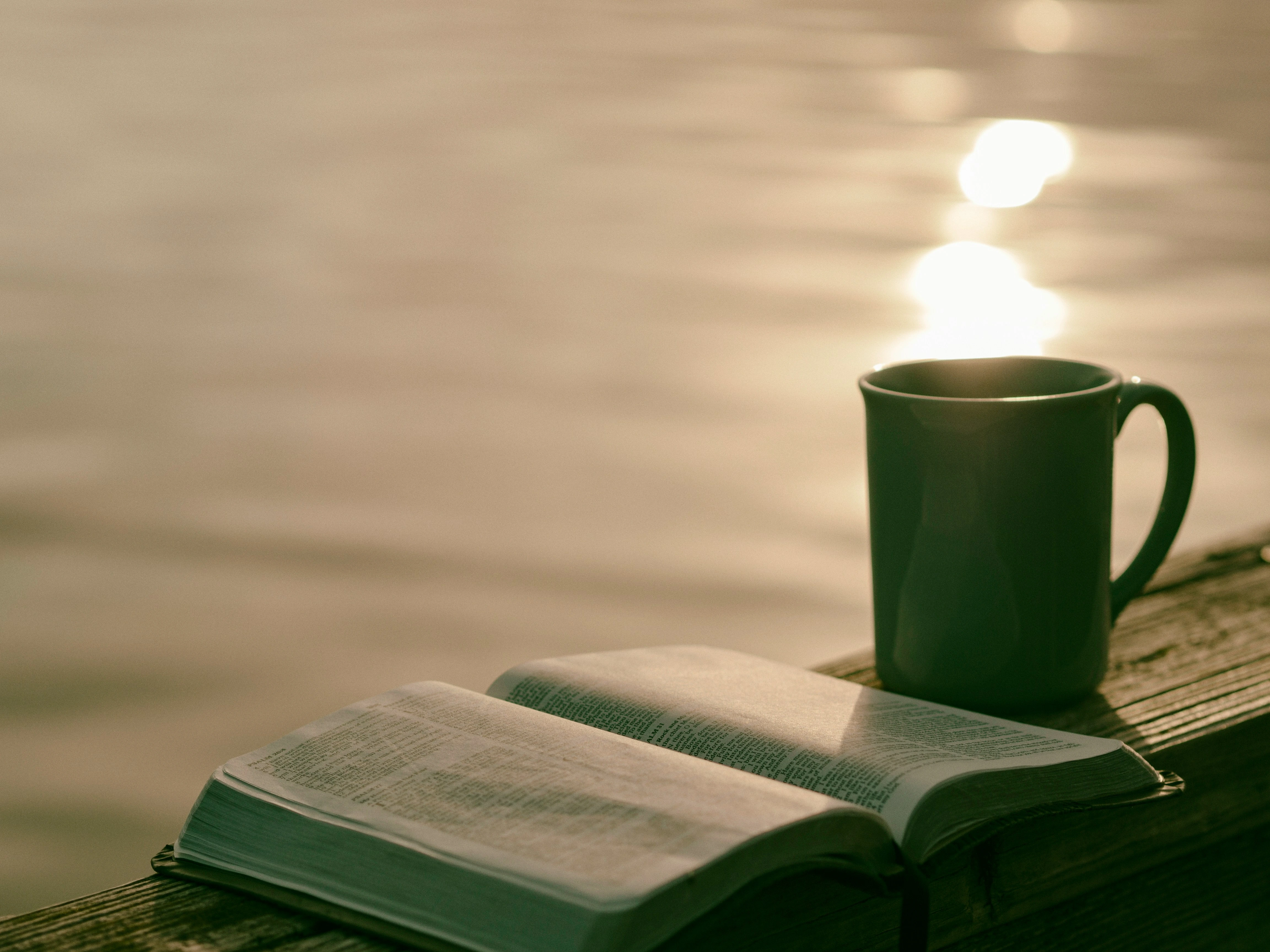 The Diary of a Young Girl